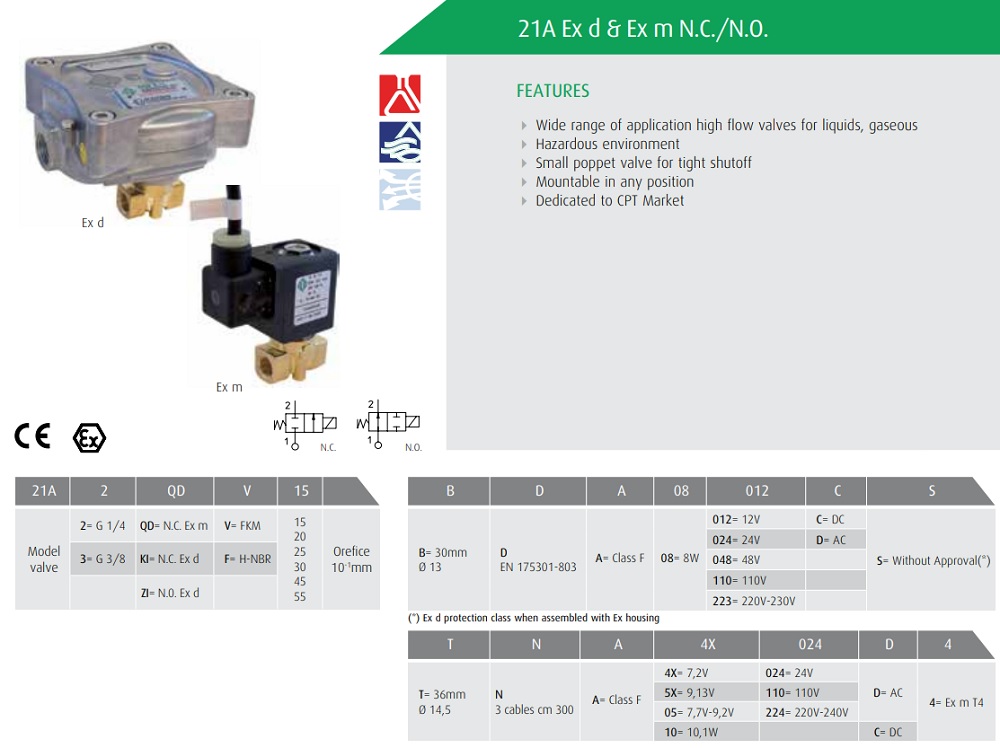 Cataloge van điện từ ODE 21A2ZIV20 