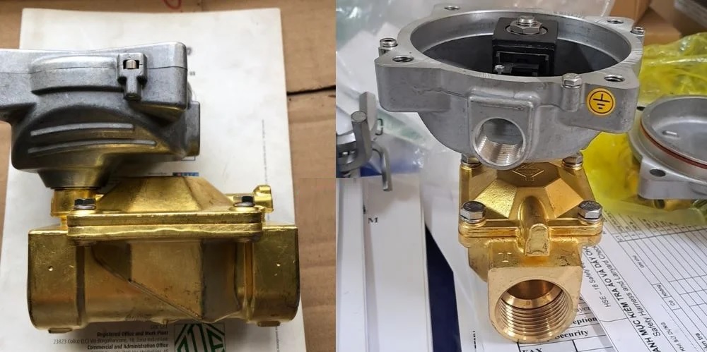 Van điện từ ODE 21W5ZIV350