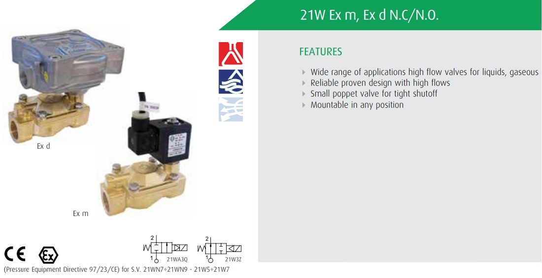 Cataloge van điện từ ODE 21W5ZIV350
